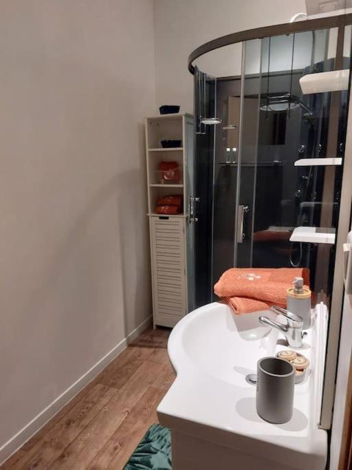 Appartement Proche Des Parcs Виши Екстериор снимка